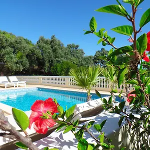 Bed & Breakfast Panoramic Paradise